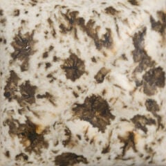 SW155 Winter Wood Stoneware Sır