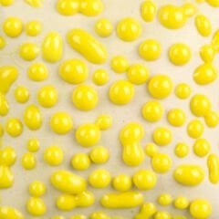 SW441 Yellow Bead
