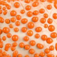 SW442 Orange Bead