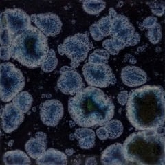 CG786 Obsidian Seramik Sır