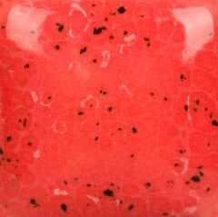 SP289 Speckled Cutie Pie Coral