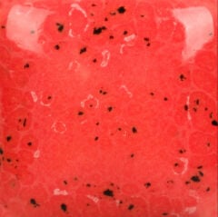 SP289 Speckled Cutie Pie Coral