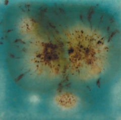 S2724 Lotus Blossom Seramik Sır