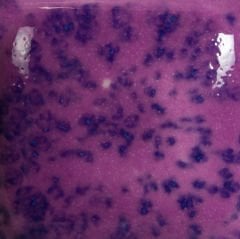 SP213 Speckled Grapel