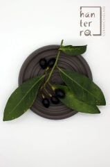 Nigra 2002 Stoneware Çamuru