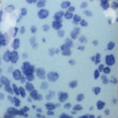 SP245 Speckled My Blue Heaven