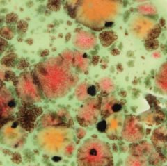 CG982 Mixed Melon Seramik Sır