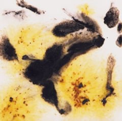 S2726 Cheetah Seramik Sır