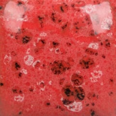 SP289 Speckled Cutie Pie Coral (236 ML)
