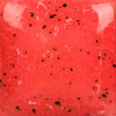SP289 Speckled Cutie Pie Coral (236 ML)