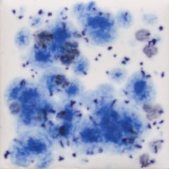 S2701 Peacock Eyes Seramik Sır