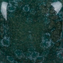 SP210 Speckled Teal Next Time