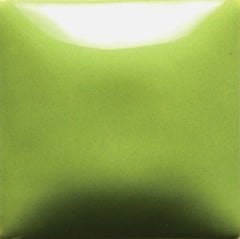 FN054 Pistachio Seramik Sır 473 ML