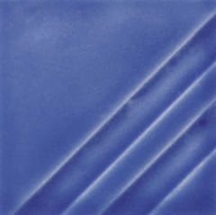 FN213 Saffire Blue 473 ML