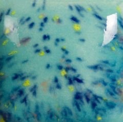 SP209 Speckled Jaded (236 ML)