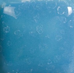 SP211 Speckled Blue Yonder (236 ML)