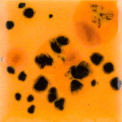 CG1013 Papaya Seramik Sır