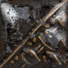 SW220 Black Timber Stoneware Sır